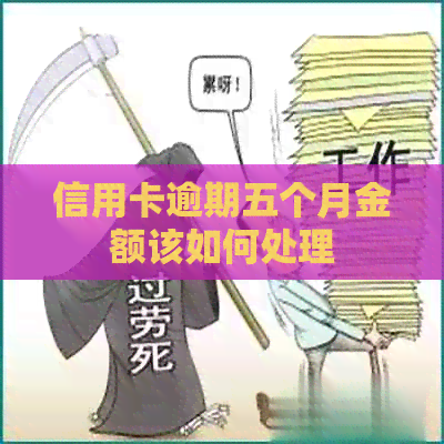 信用卡逾期五个月金额该如何处理