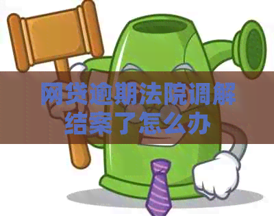 网贷逾期法院调解结案了怎么办