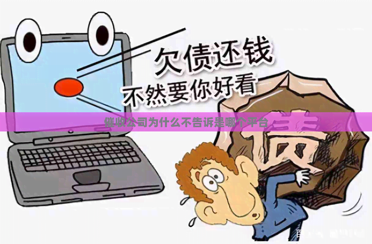公司为什么不告诉是哪个平台