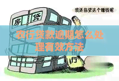 农行贷款逾期怎么处理有效方法