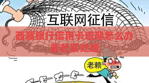      银行信用卡逾期怎么办要赶紧处理