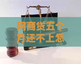 网商贷五个月还不上怎么办