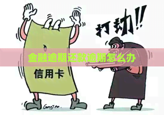 金融逾期还款逾期怎么办
