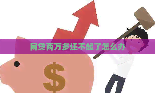 网贷两万多还不起了怎么办