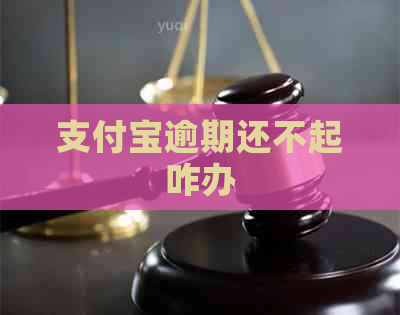 支付宝逾期还不起咋办