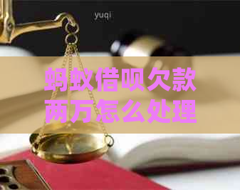 蚂蚁借呗欠款两万怎么处理