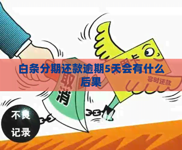 白条分期还款逾期5天会有什么后果