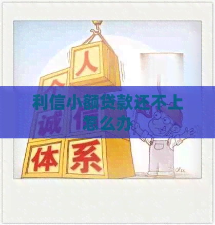 利信小额贷款还不上怎么办