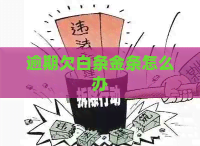 逾期欠白条金条怎么办