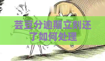 芸豆分逾期立刻还了如何处理