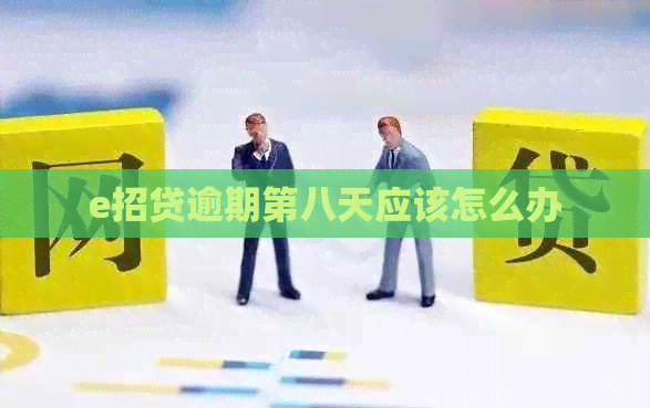 e招贷逾期第八天应该怎么办