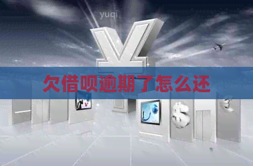 欠借呗逾期了怎么还