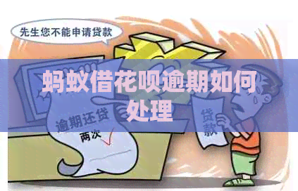 蚂蚁借花呗逾期如何处理