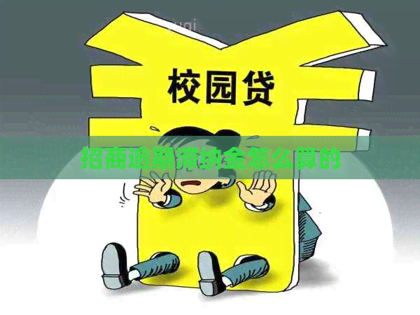 招商逾期滞纳金怎么算的