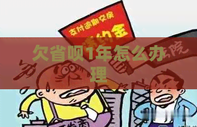 欠省呗1年怎么办理