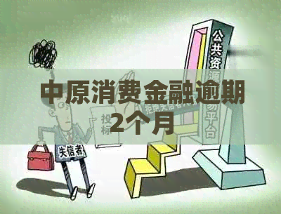 中原消费金融逾期2个月