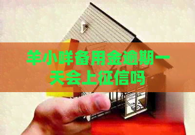 羊小咩备用金逾期一天会上吗