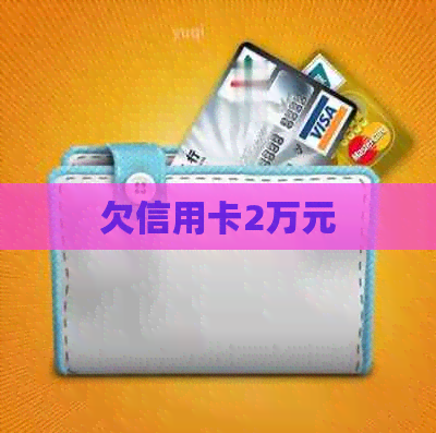 欠信用卡2万元