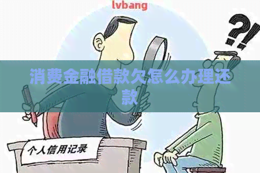 消费金融借款欠怎么办理还款