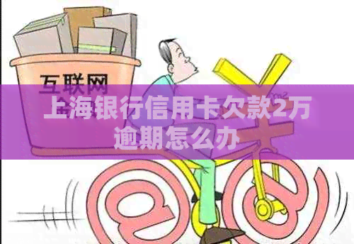 上海银行信用卡欠款2万逾期怎么办