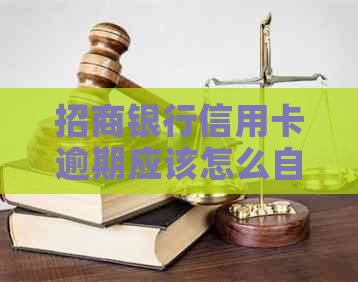 招商银行信用卡逾期应该怎么自救
