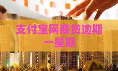 支付宝网商贷逾期一星期