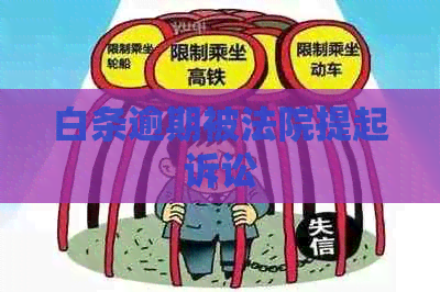 白条逾期被法院提起诉讼