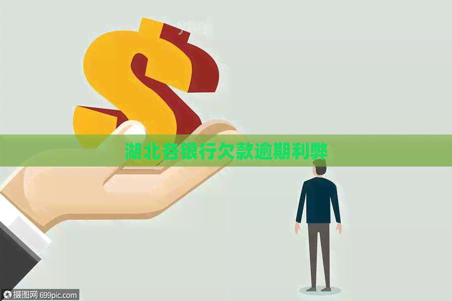 湖北各银行欠款逾期利弊