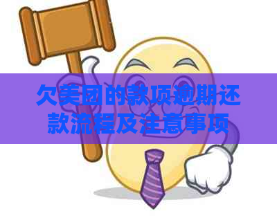 欠美团的款项逾期还款流程及注意事项