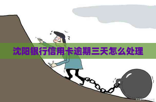 沈阳银行信用卡逾期三天怎么处理