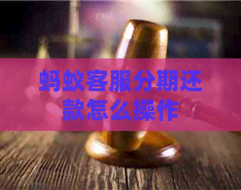 蚂蚁客服分期还款怎么操作