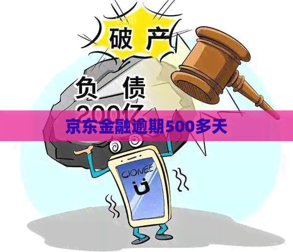 京东金融逾期500多天
