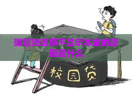 微粒贷逾期不显示本金的原因是什么