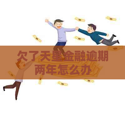 欠了天星金融逾期两年怎么办