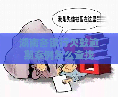 湖南各银行欠款逾期案例怎么查找
