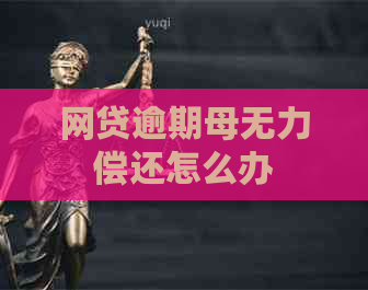 网贷逾期母无力偿还怎么办