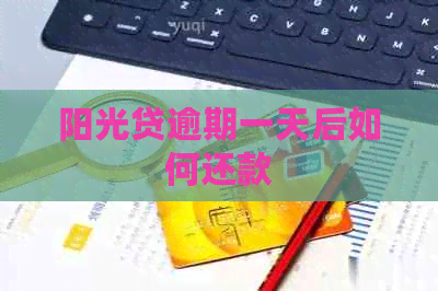 阳光贷逾期一天后如何还款