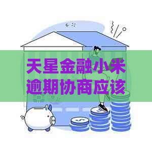 天星金融小米逾期协商应该怎么进行