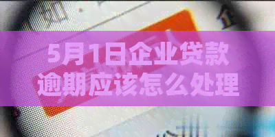 5月1日企业贷款逾期应该怎么处理