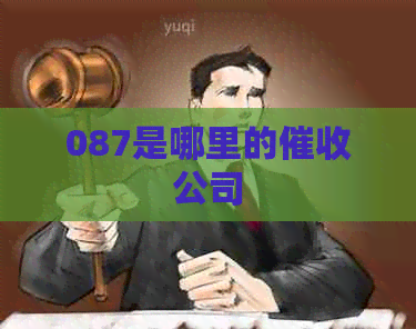087是哪里的公司