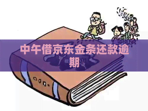 中午借京东金条还款逾期