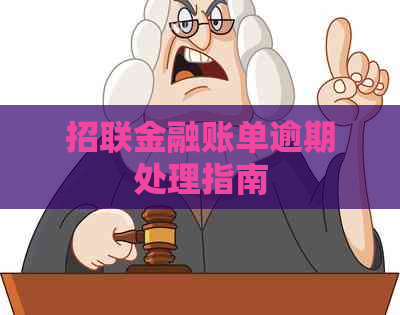 招联金融账单逾期处理指南