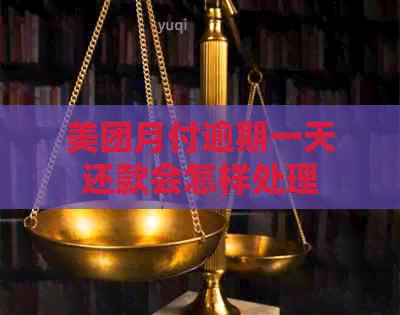 美团月付逾期一天还款会怎样处理
