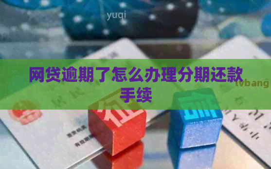 网贷逾期了怎么办理分期还款手续