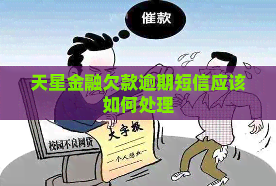天星金融欠款逾期短信应该如何处理