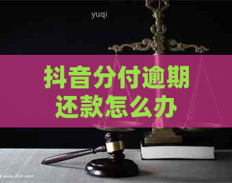 抖音分付逾期还款怎么办