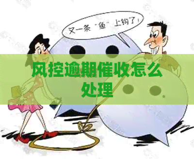 风控逾期怎么处理