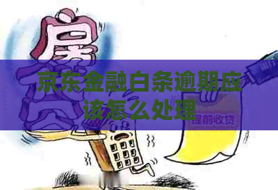 京东金融白条逾期应该怎么处理