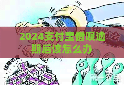 2024支付宝借呗逾期后该怎么办