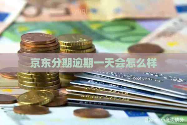 京东分期逾期一天会怎么样